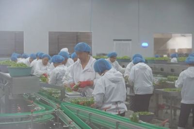 數(shù)字經(jīng)濟(jì)浪潮下的食品互聯(lián)網(wǎng)銷售 中國人民大學(xué)應(yīng)用經(jīng)濟(jì)學(xué)院的學(xué)術(shù)洞察與實(shí)踐路徑